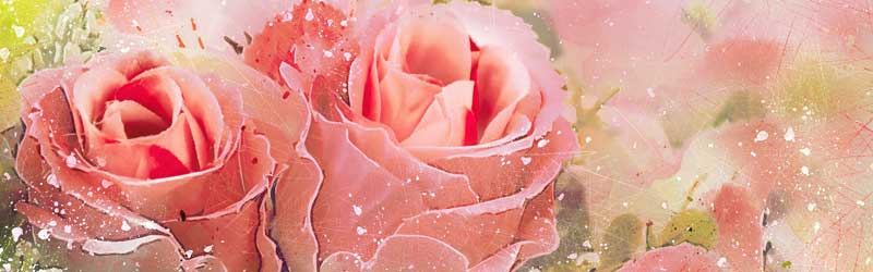 ���S���ăG�b�`�ȏo������\�ł���Z�t���o��f�����I�R�I0010